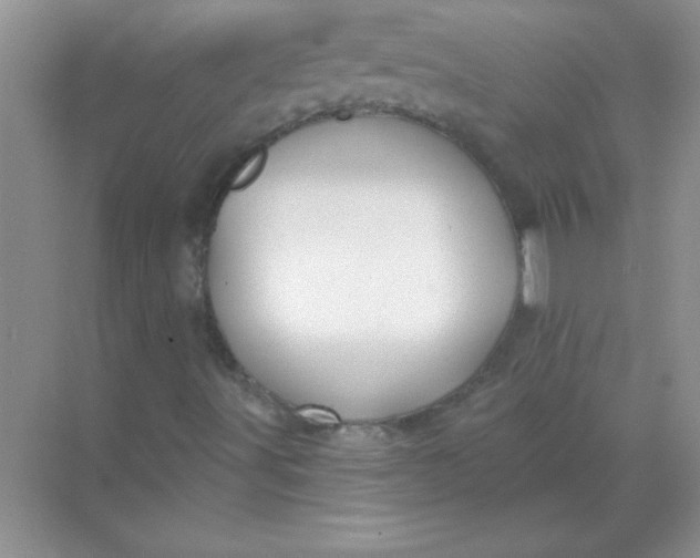 X0000068891491200605192121