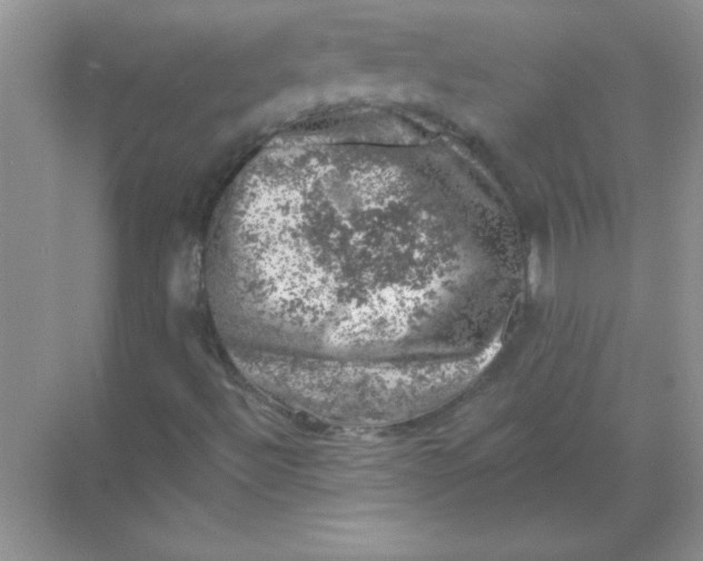 X0000068891492200605192121