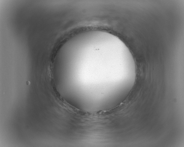 X0000068891493200605192121