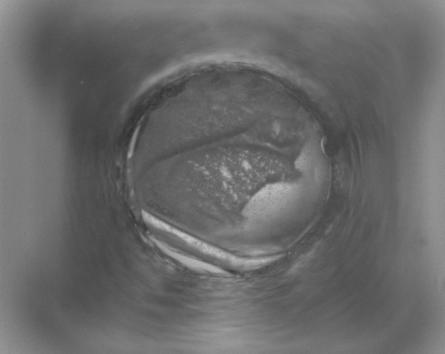 X0000068891494200605192121