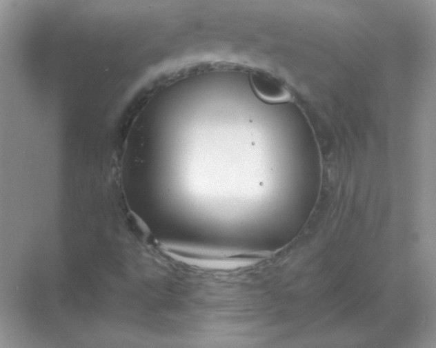 X0000068891495200605192121