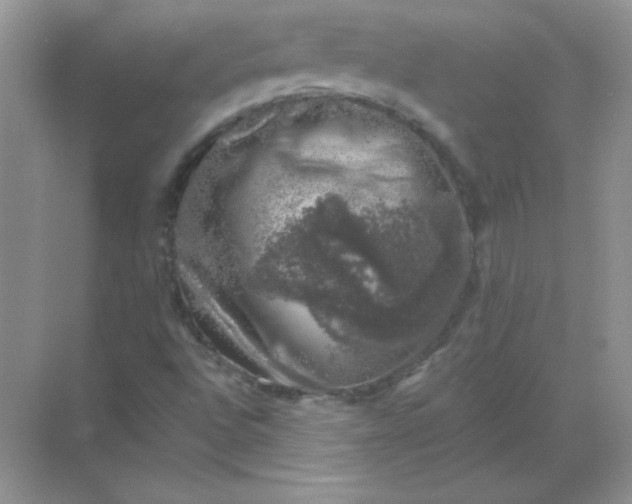 X0000068891496200605192121