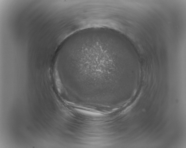 X0000068891497200605192121