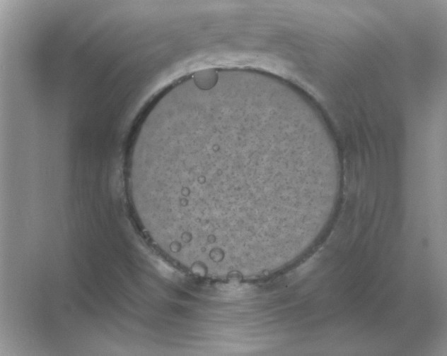 X0000068891498200605192121