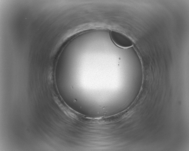 X0000068891499200605192121