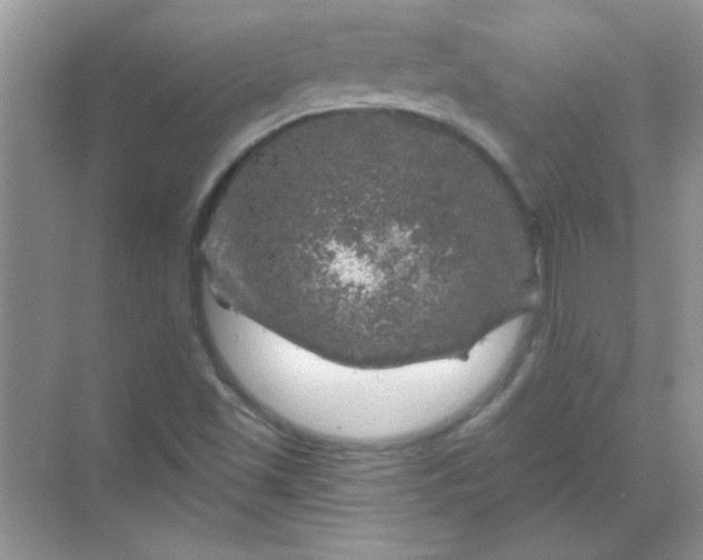 X0000068891501200605192121