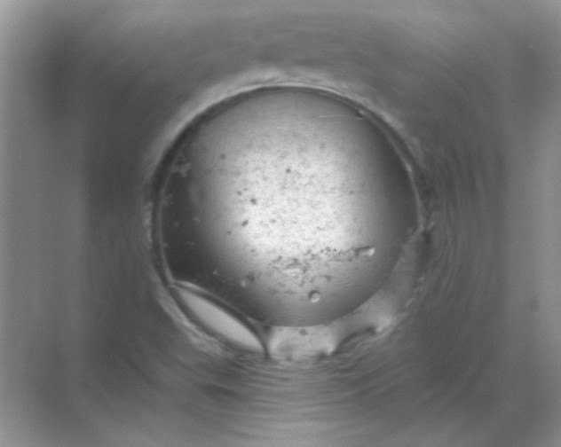 X0000068891503200605192121