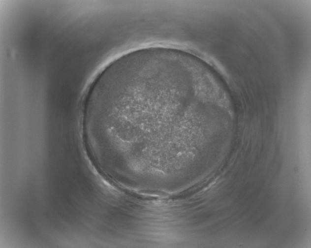 X0000068891504200605192121