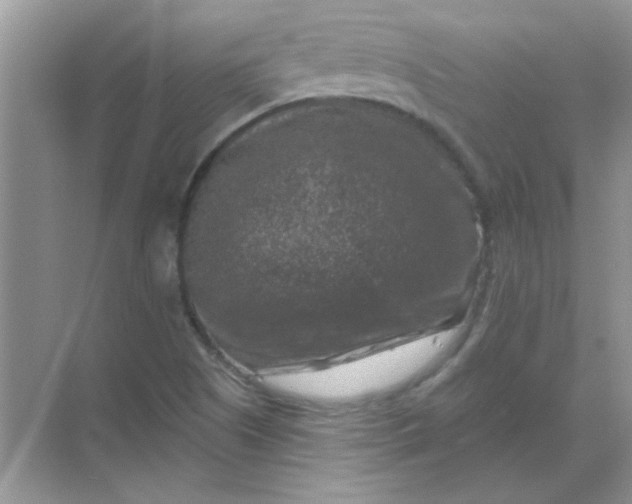 X0000068891505200605192121