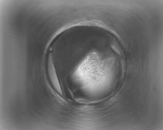 X0000068891506200605192121