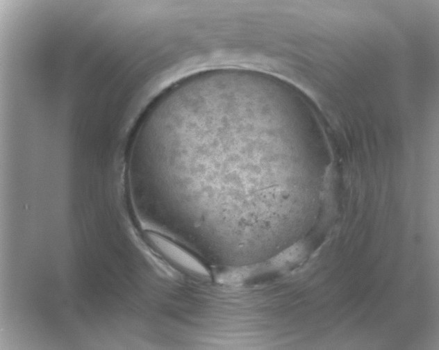 X0000068891507200605192121