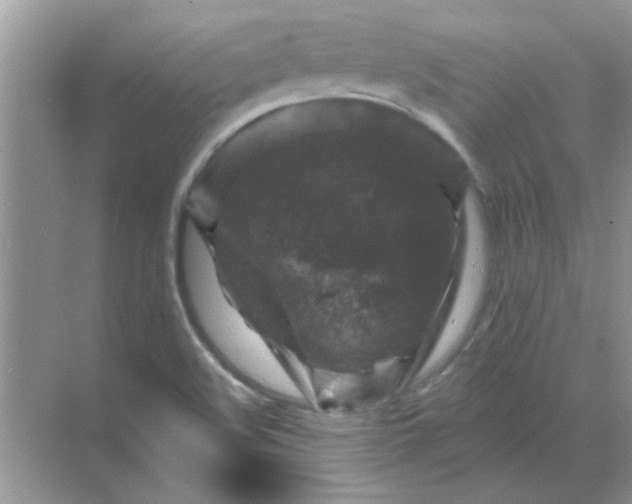 X0000068891508200605192121