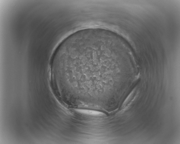 X0000068891509200605192121