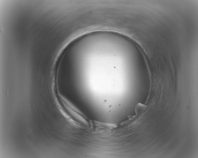 X0000068891511200605192121