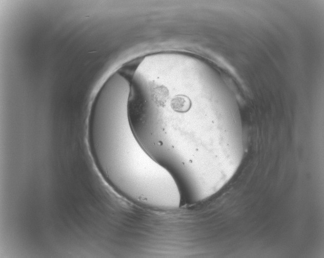 X0000068891512200605192121