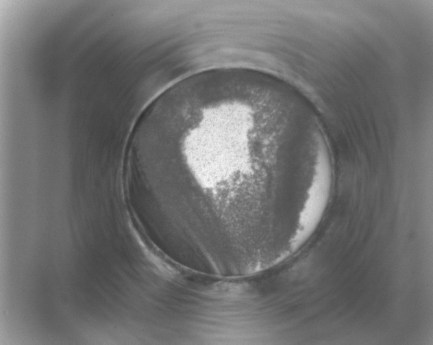 X0000068891513200605192121