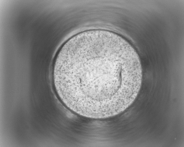 X0000068891514200605192121