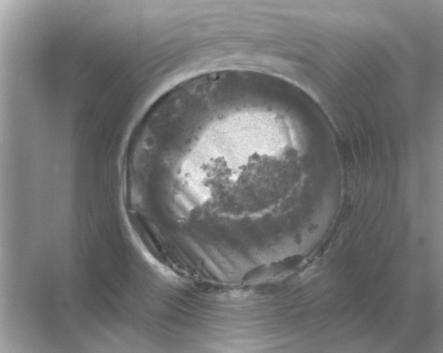 X0000068891515200605192121