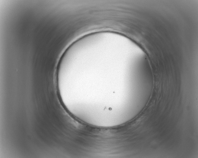 X0000068891516200605192121