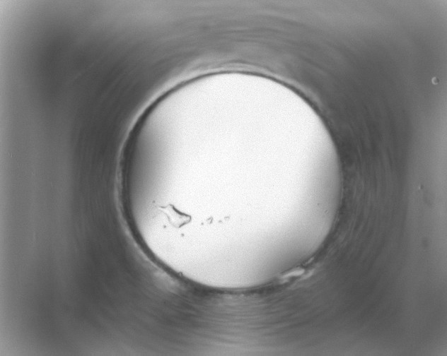 X0000068891518200605192121