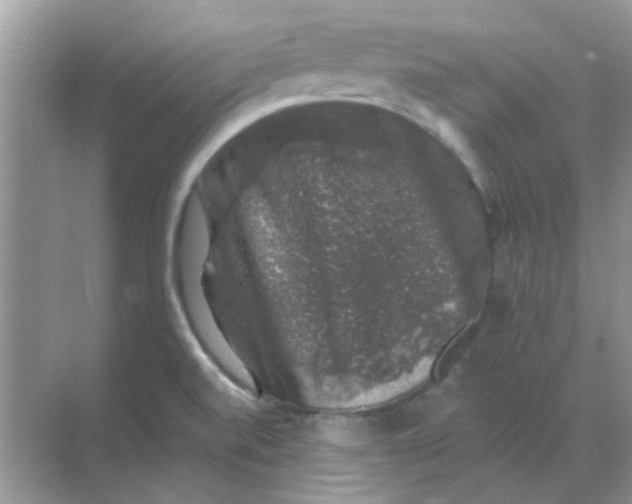 X0000068891520200605192122