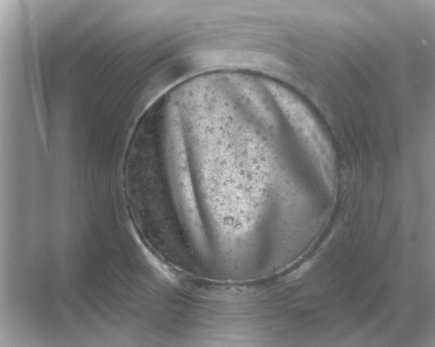 X0000068891521200605192122