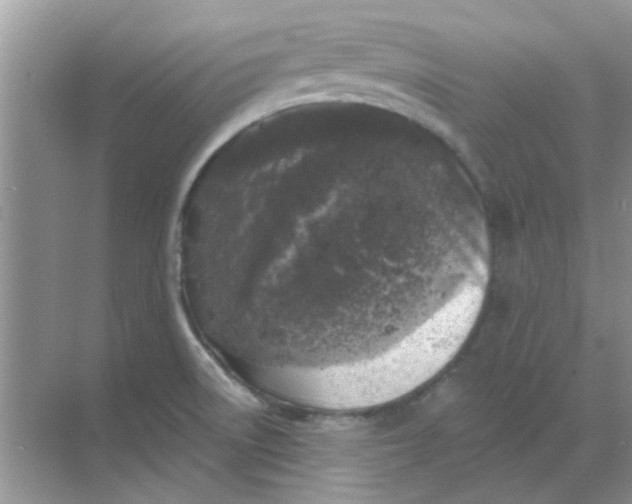 X0000068891522200605192122