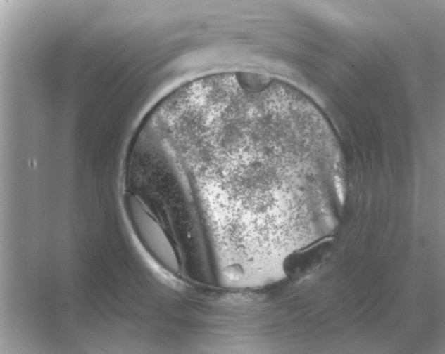 X0000068891523200605192122