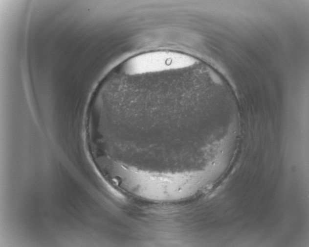 X0000068891525200605192122