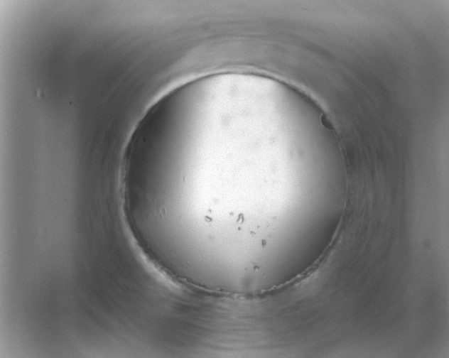 X0000068891526200605192122