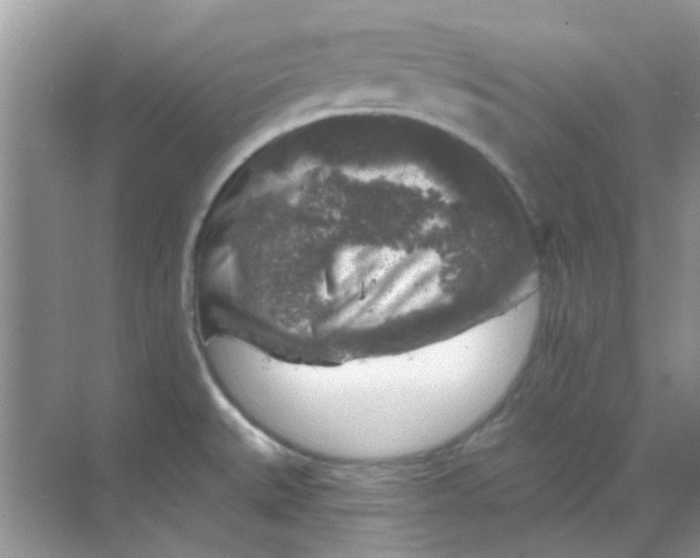 X0000068891527200605192122