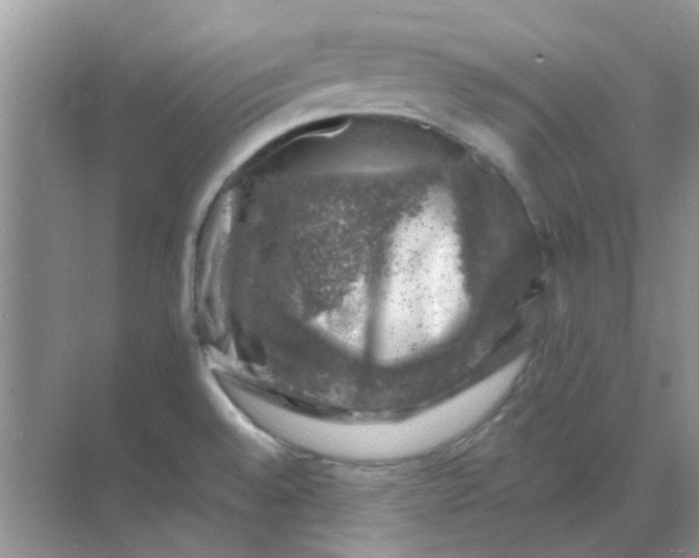 X0000068891528200605192122