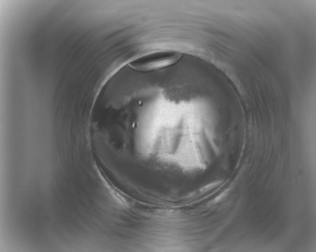 X0000068891529200605192122