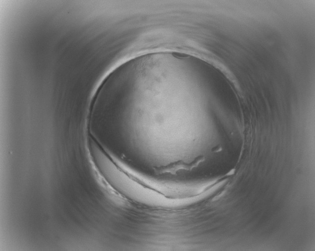 X0000068891530200605192122