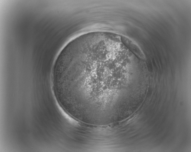 X0000068891531200605192122