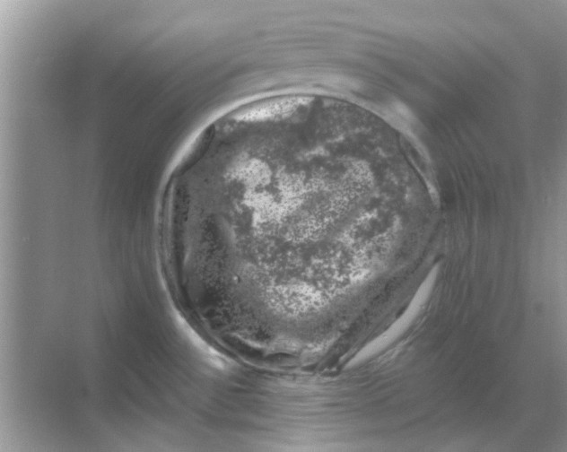 X0000068891532200605192122