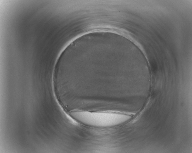 X0000068891533200605192122