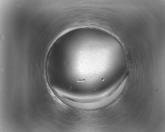 X0000068891534200605192122