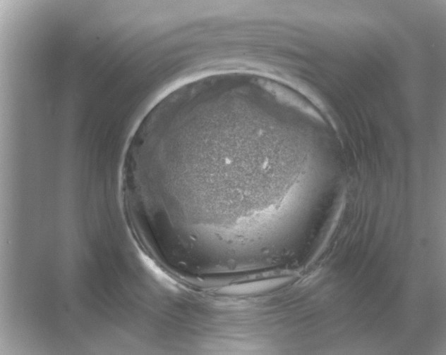 X0000068891535200605192122