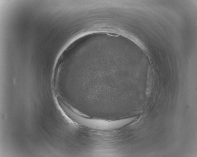 X0000068891536200605192122