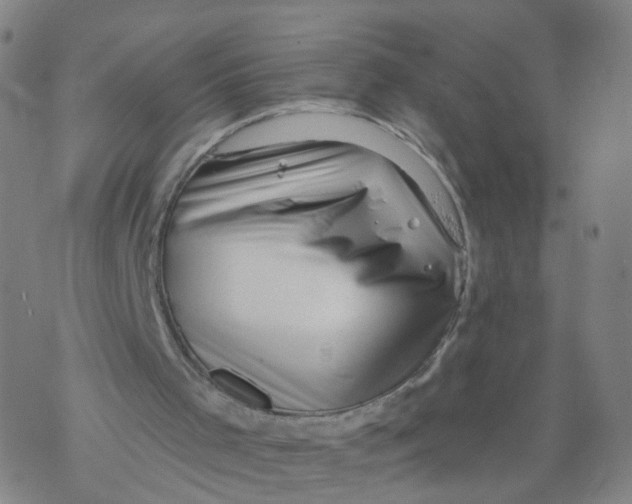 X0000068890001200605261857