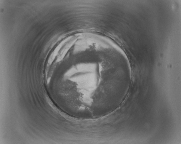 X0000068890002200605261857