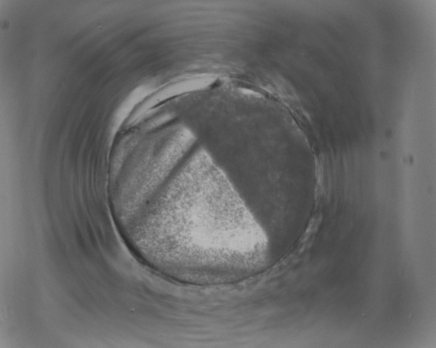 X0000068890003200605261857