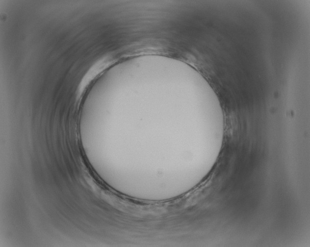 X0000068890004200605261857