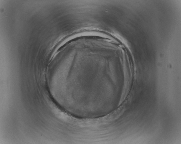 X0000068890009200605261857