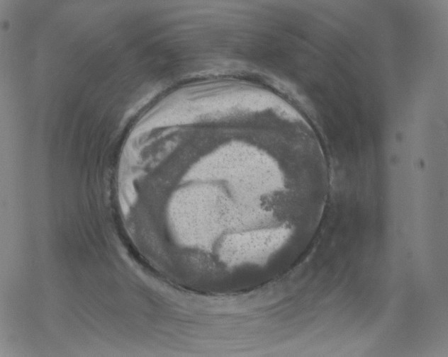 X0000068890010200605261857