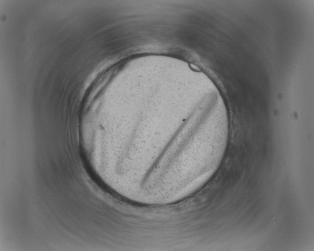 X0000068890011200605261857