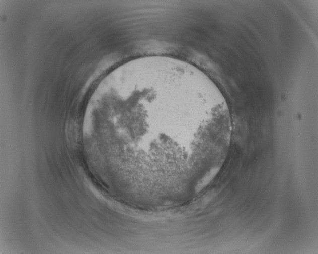 X0000068890012200605261857