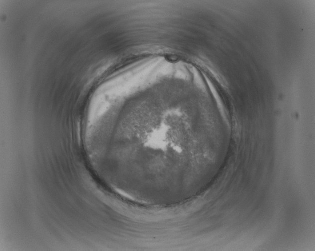 X0000068890014200605261857