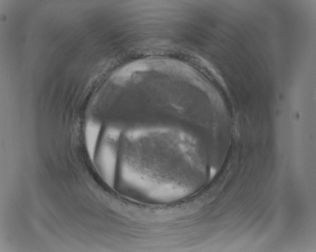 X0000068890018200605261857